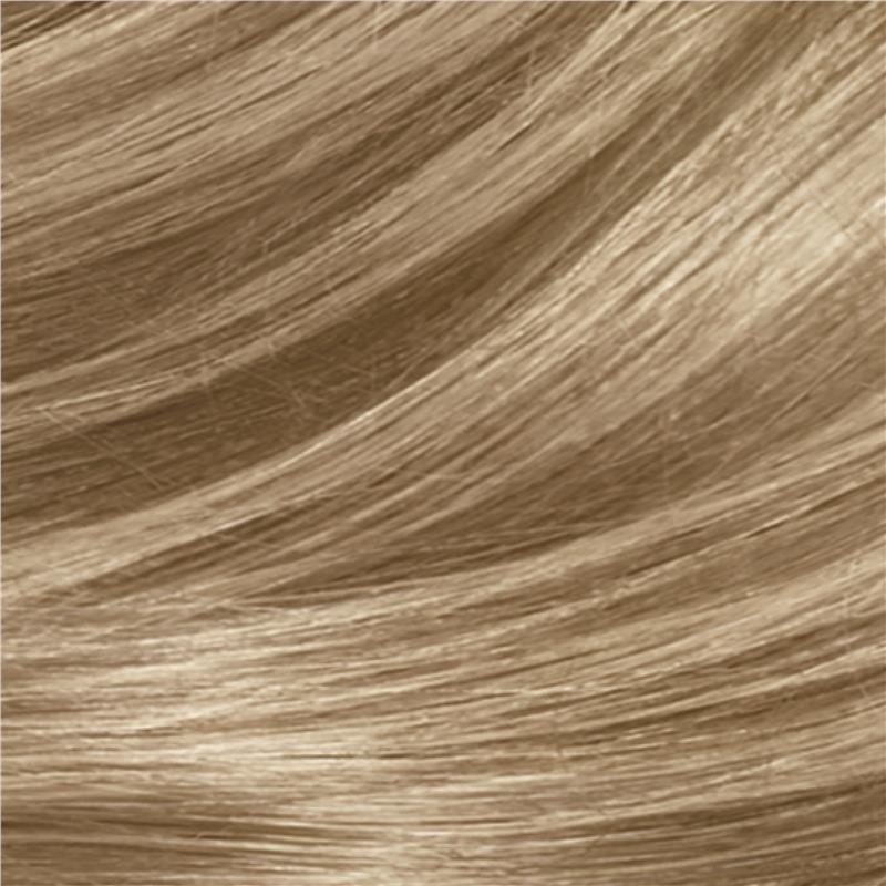 Clairol Frost & Tip