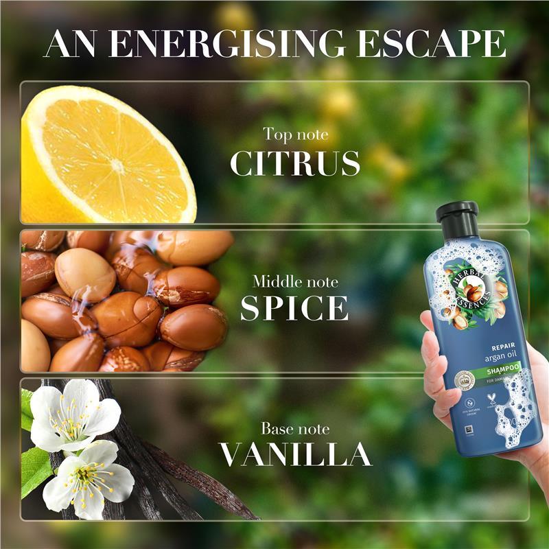 Herbal Essences Bio Renew Argan Oil of Morocco Conditioner 600ml NEW