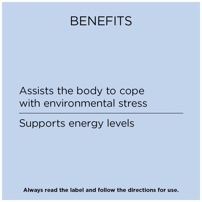 GO Healthy Ashwagandha Plus Stress & Energy 60 Hard Capsules