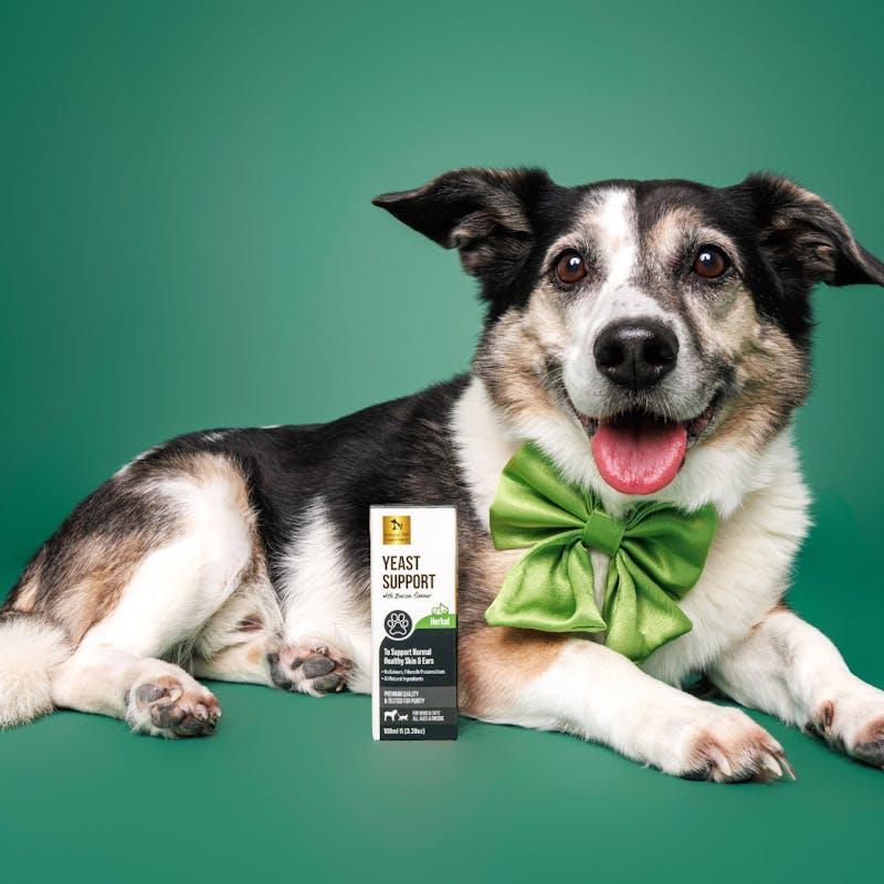 Natural Pet Supplements Yeast Support Bacon Flavour Liquid 100ml