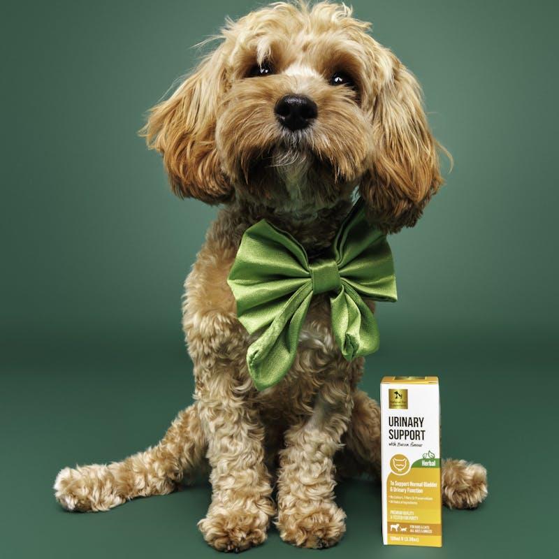 Natural Pet Supplements Urinary Support Herbal Tincture For Dogs and Cats 100ml