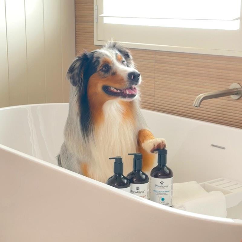 Pawlavie Gentle Dog Wash - For dogs of all coat types 500ml