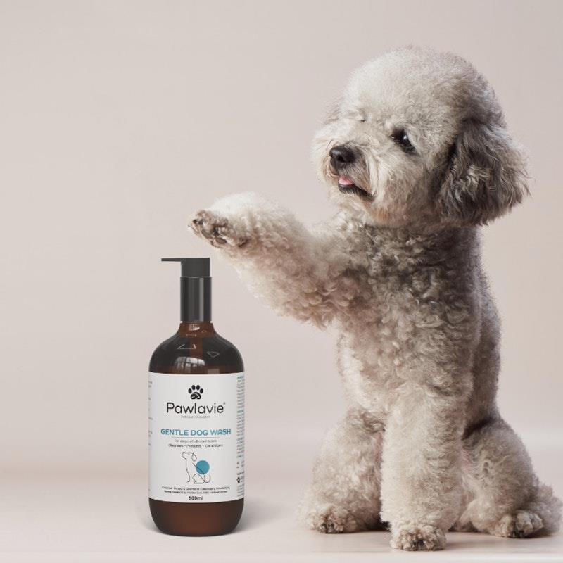 Pawlavie Gentle Dog Wash - For dogs of all coat types 500ml