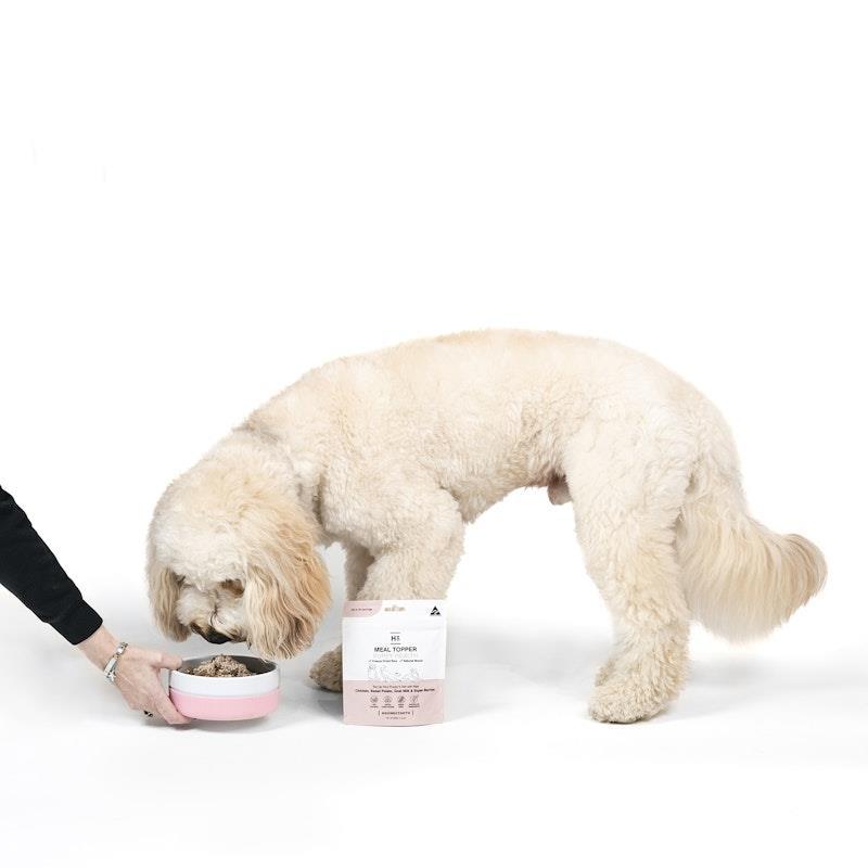 HOUNDZTOOTH Puppy Health Raw Boost Meal Topper for Dogs 60g