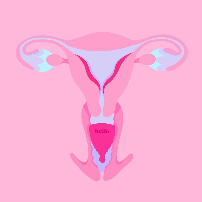 Hello. Period Average Cervix Cup Lilac SML