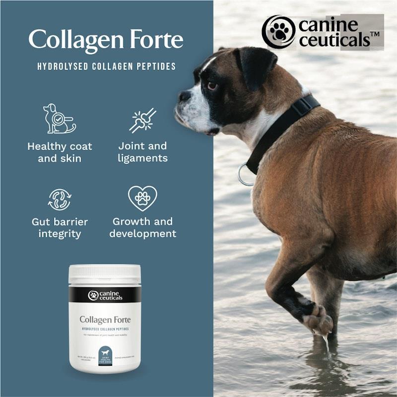 CanineCeuticals Collagen Forte 300g