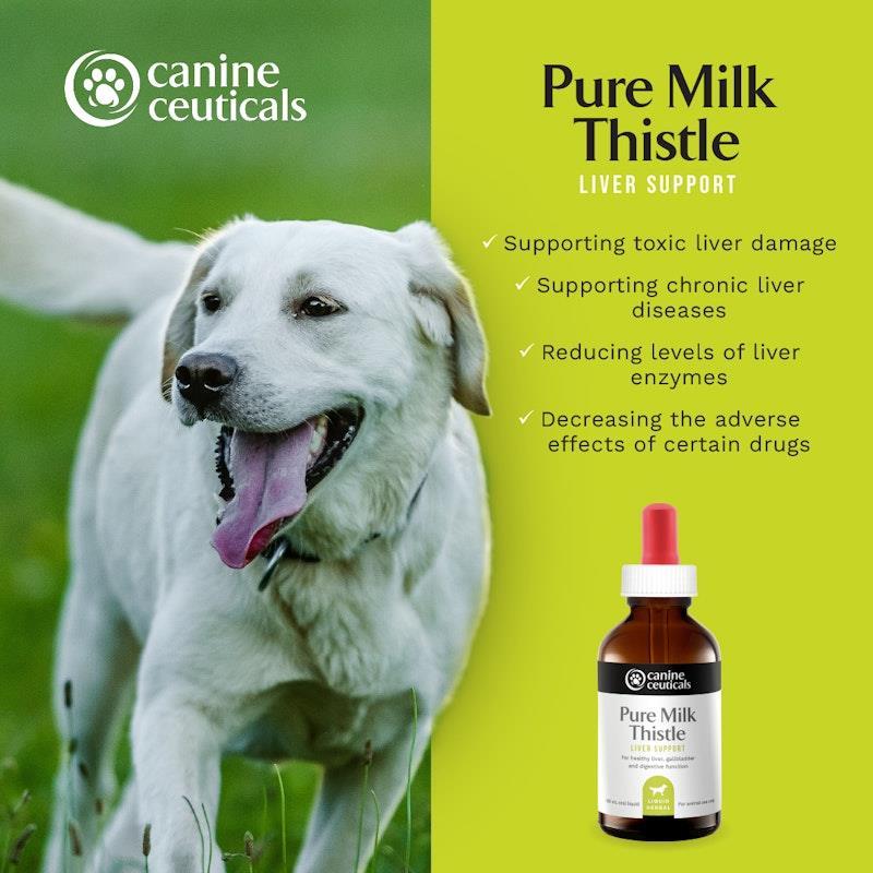 CanineCeuticals Pure Milk Thistle 100ml