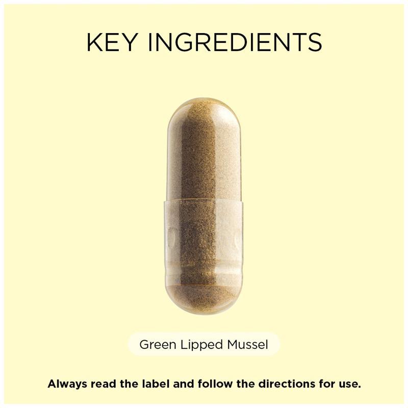 Go Healthy Mussel NZ Green Lipped 19000mg 100 Hard Capsule Exclusive Size