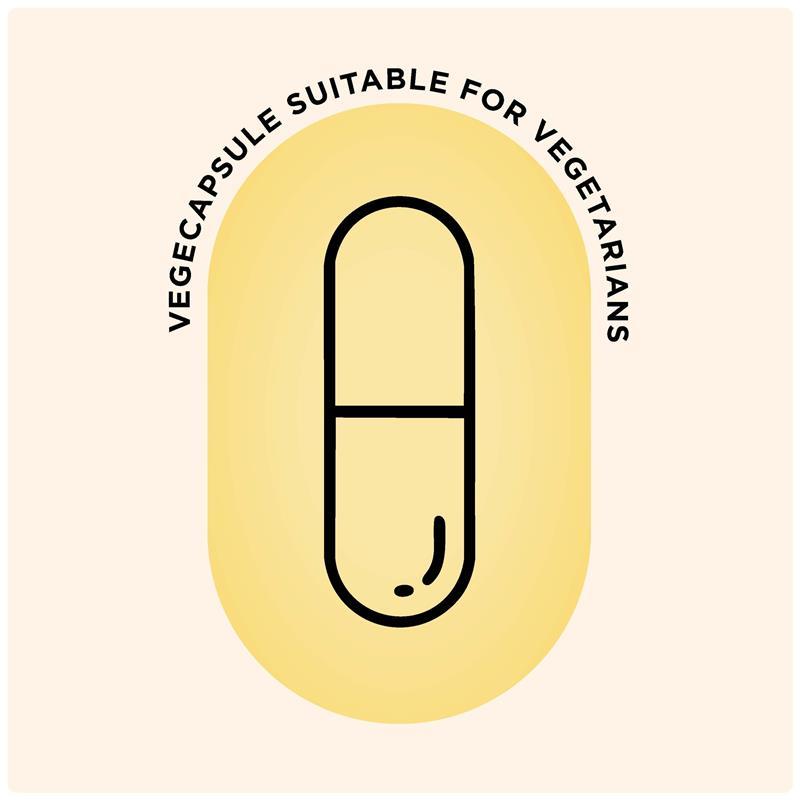 GO Healthy Ginkgo 9000 1-A-DAY 60 Capsule