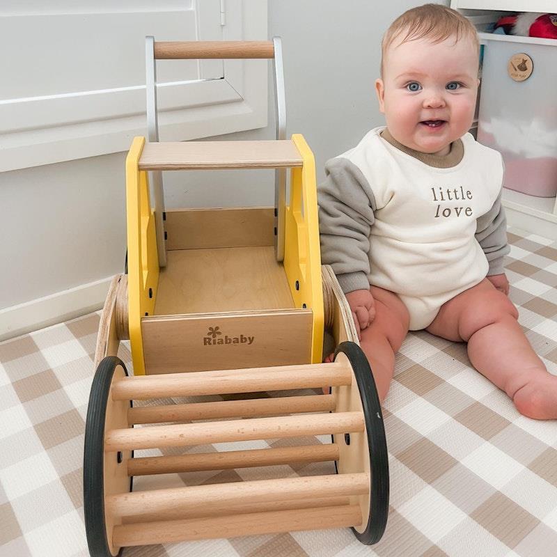 Riababy Road Roller Cargo Walker 1Unit