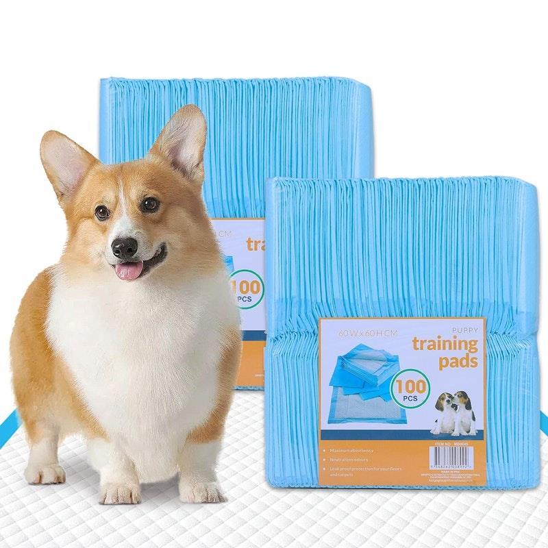 Living Today 200PCS Dog Absorbent Training Pad 60 x 60 cm 2Pack