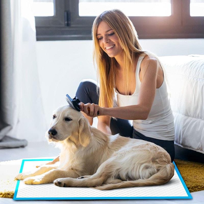 Living Today 200PCS Dog Absorbent Training Pad 60 x 60 cm 2Pack