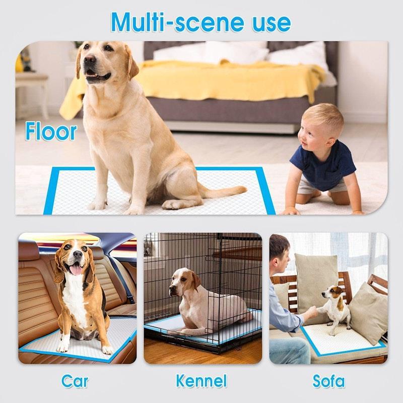 Living Today 200PCS Dog Absorbent Training Pad 60 x 60 cm 2Pack