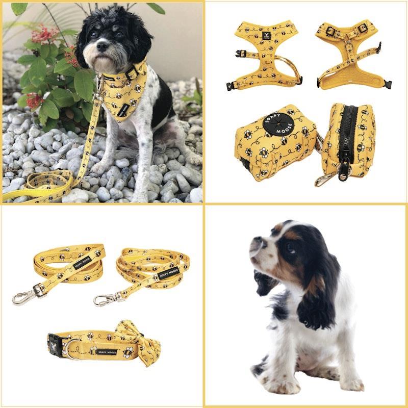 Soapy Moose Extra Small Dog Collar, Lead  & Poop Bag Pack