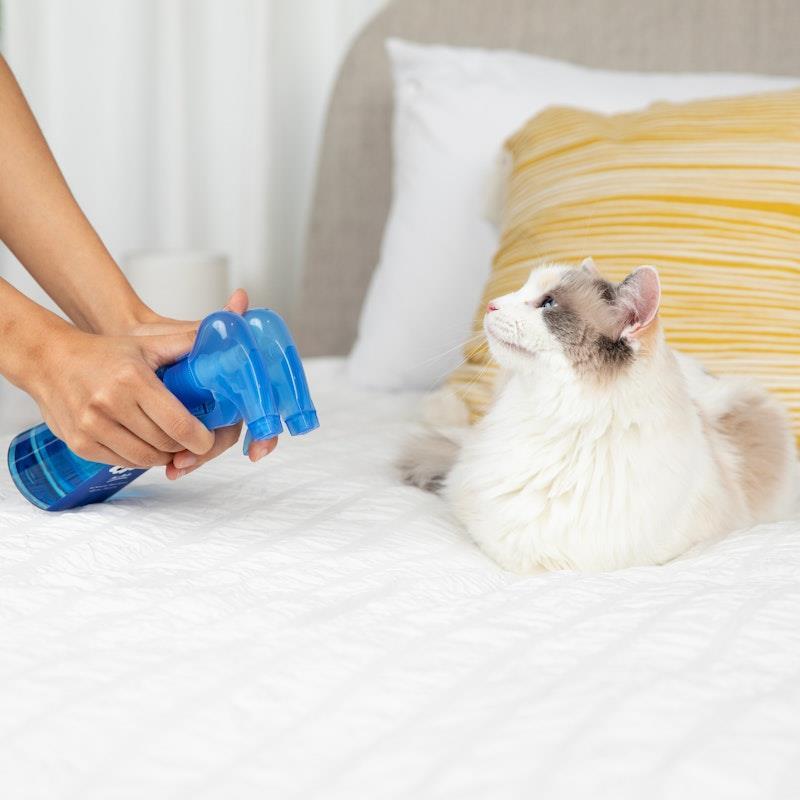 SWIFF For Pets Bottle + Refill Bundle Kit