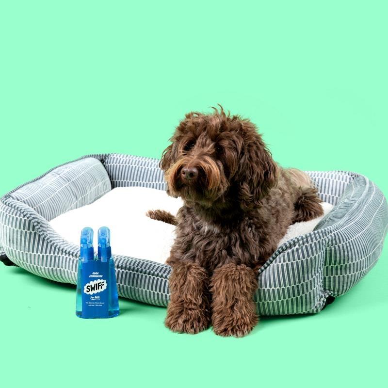 SWIFF For Pets Bottle + Refill Bundle Kit