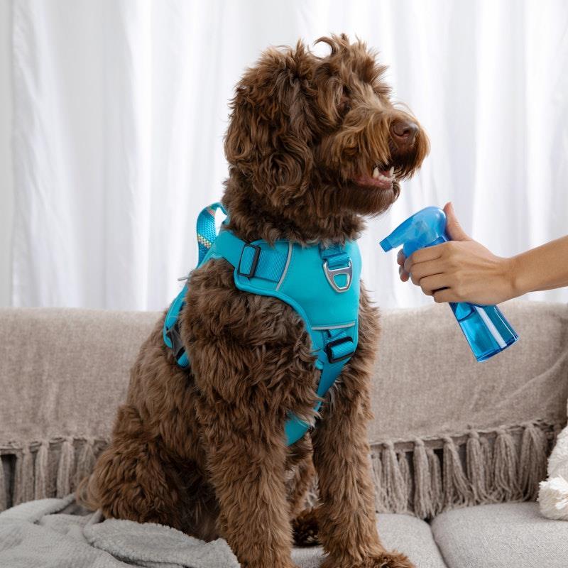 SWIFF For Pets Bottle + Refill Bundle Kit