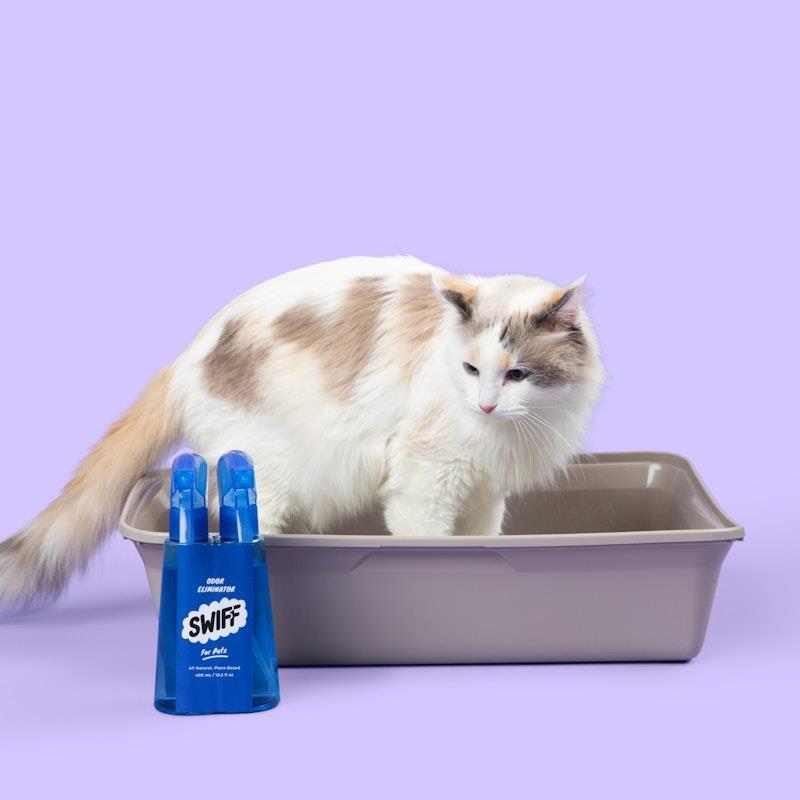 SWIFF For Pets Bottle + Refill Bundle Kit