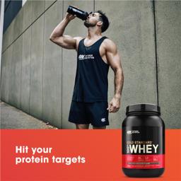 Buy Optimum Nutrition Gold Standard 100% Whey Double Rich Chocolate ...