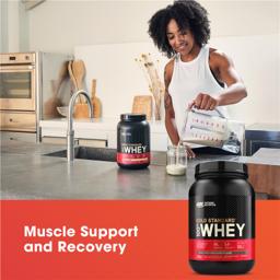 Buy Optimum Nutrition Gold Standard 100% Whey Double Rich Chocolate ...