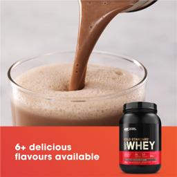 Buy Optimum Nutrition Gold Standard 100% Whey Double Rich Chocolate ...