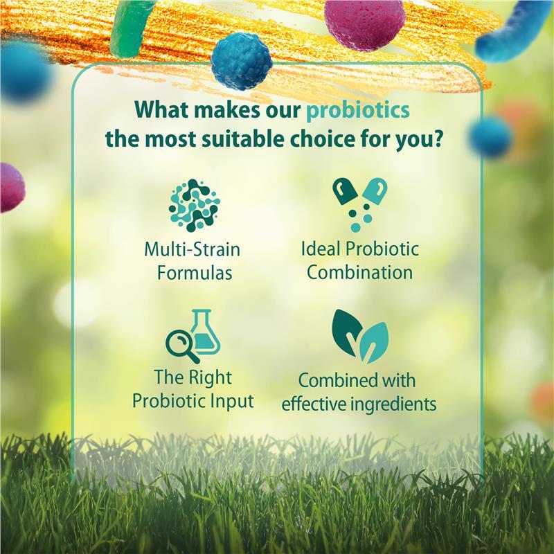 Carusos Poo Eze Probiotic 60 Capsules