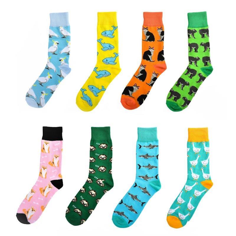 Sock Exchange 240 Pack Novelty Socks Colourful Assorted Designs Gift Collection Bundle
