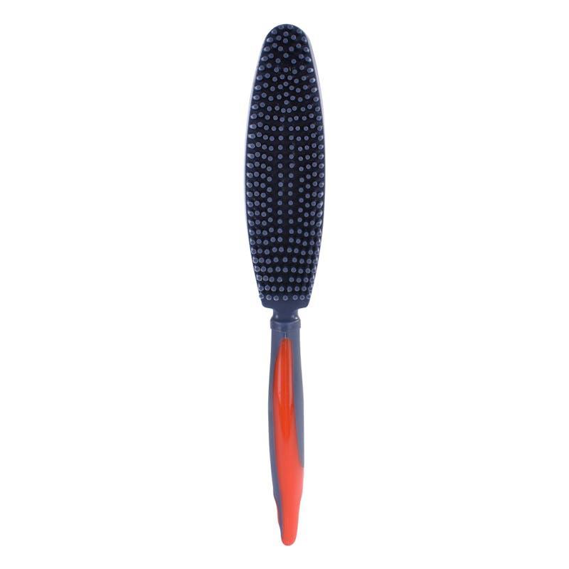 Living Today  Double Side Grooming AND Lint Brush 1Unit