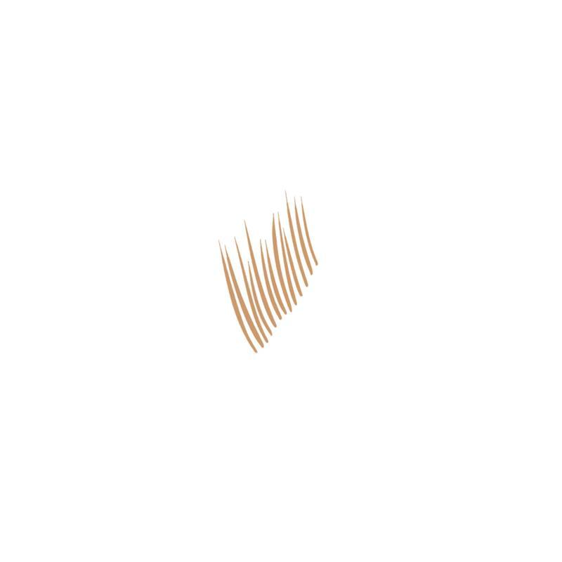 NYX Lift N Snatch Brow Tint Pen Soft Brown