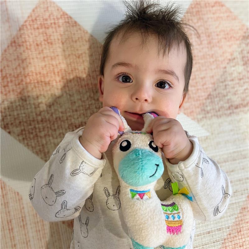 Playgro Activity Friend Lupe Llama - Peluche Sensoriale Per Neonati 0+ Mesi Con Koala E Anelli Click-Clack - 2