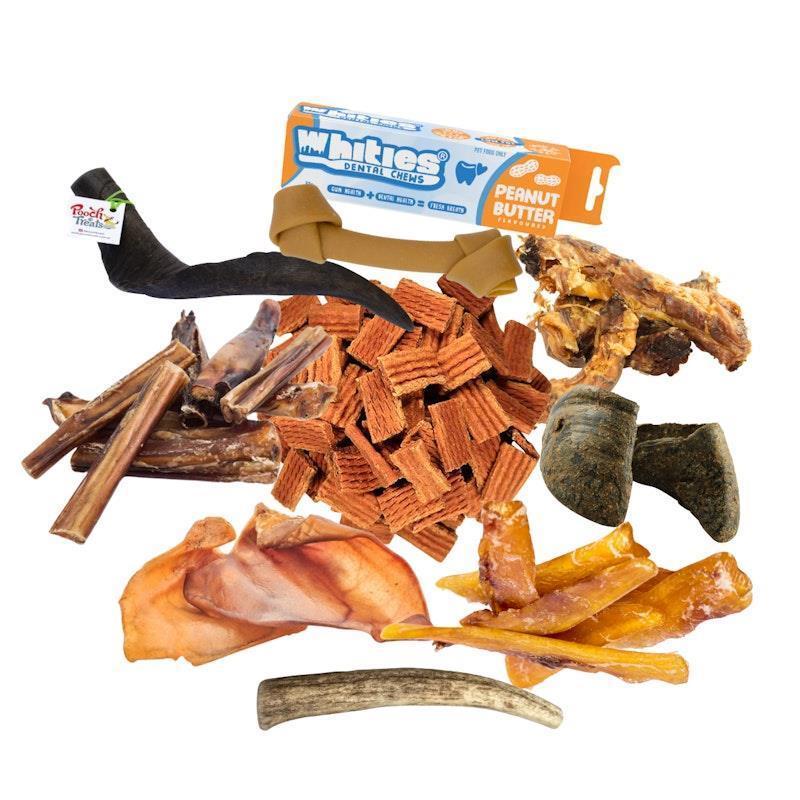 Standout Pets - Dental Bundle