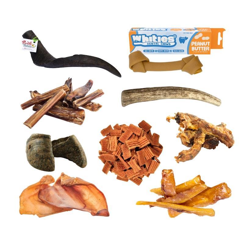 Standout Pets - Dental Bundle