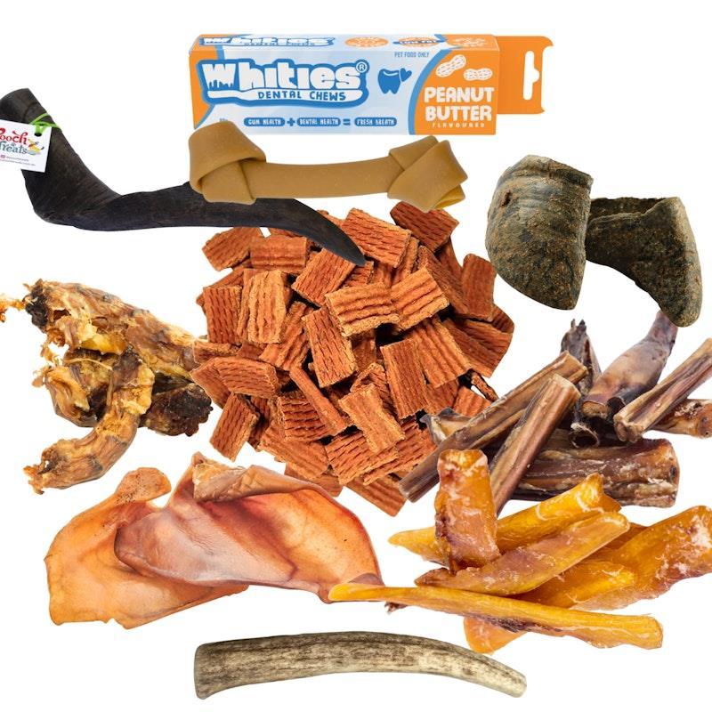 Standout Pets - Dental Bundle