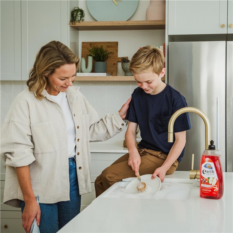 Earth Choice Dishwash Concentrate Red Apple 900ml