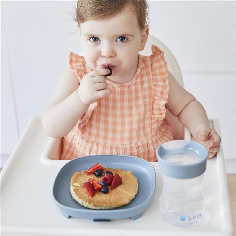 B.Box Divider 2-In-1 Suction Plate Ocean