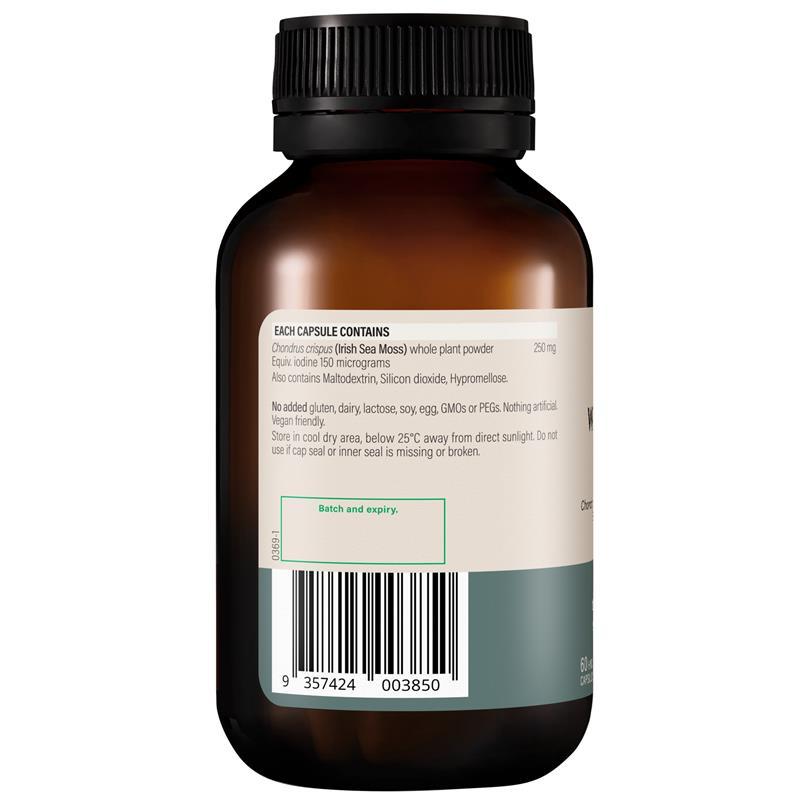 Wanderlust Sea Moss 60 Capsules