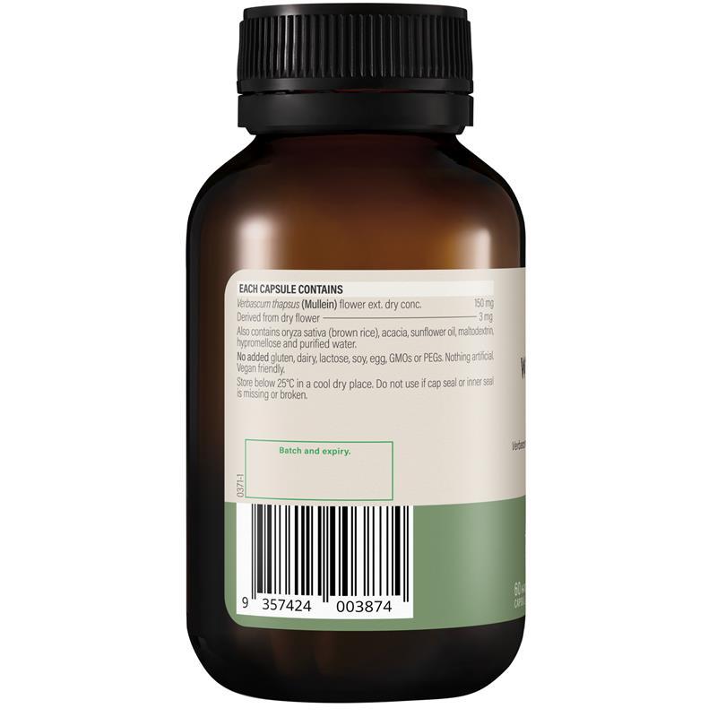 Wanderlust High Strength Mullein 60 Capsules