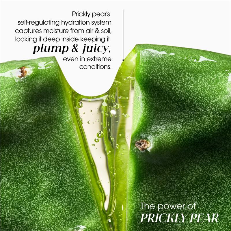 Klorane Hydration & Shine Serum with Prickly Pear 100ml