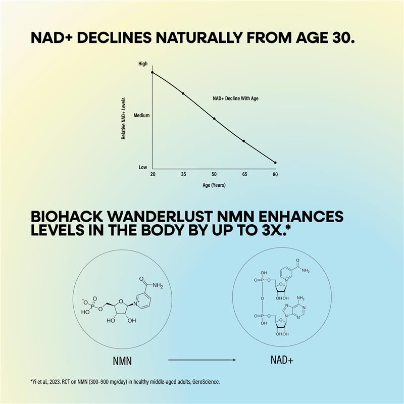 BioHack Wanderlust NMN + Glycine Powder 90g