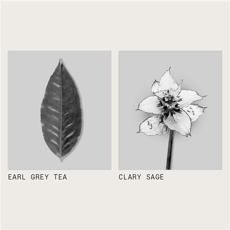Thankyou Body Wash Botanical Earl Grey & Clary Sage 1L