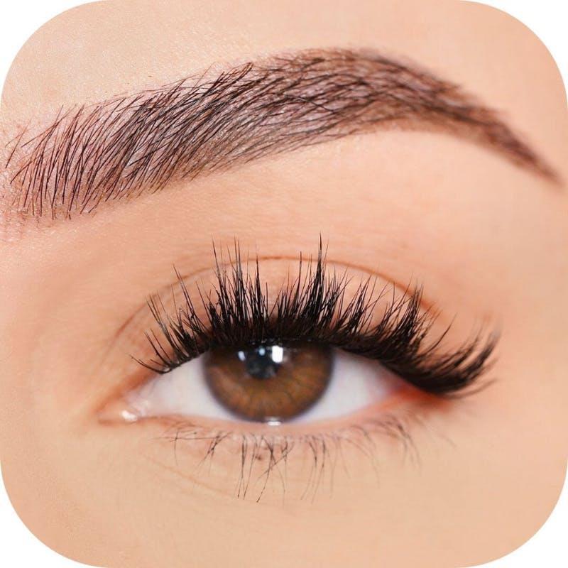 Custom Lashes - Tray Bold