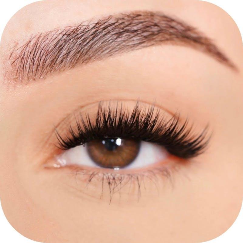 Custom Lashes - Tray Adventurous