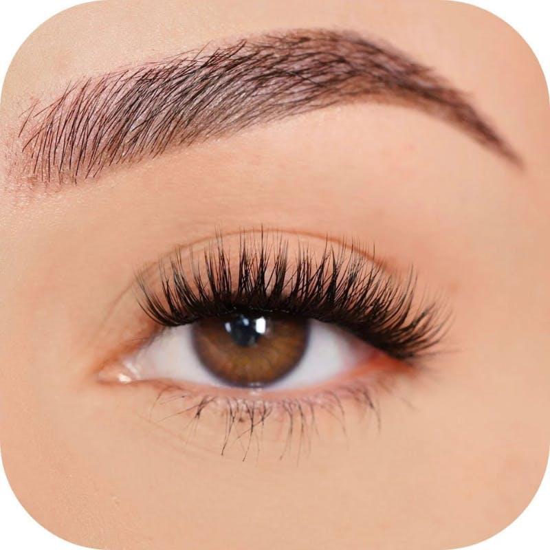 Custom Lashes - Tray Confident