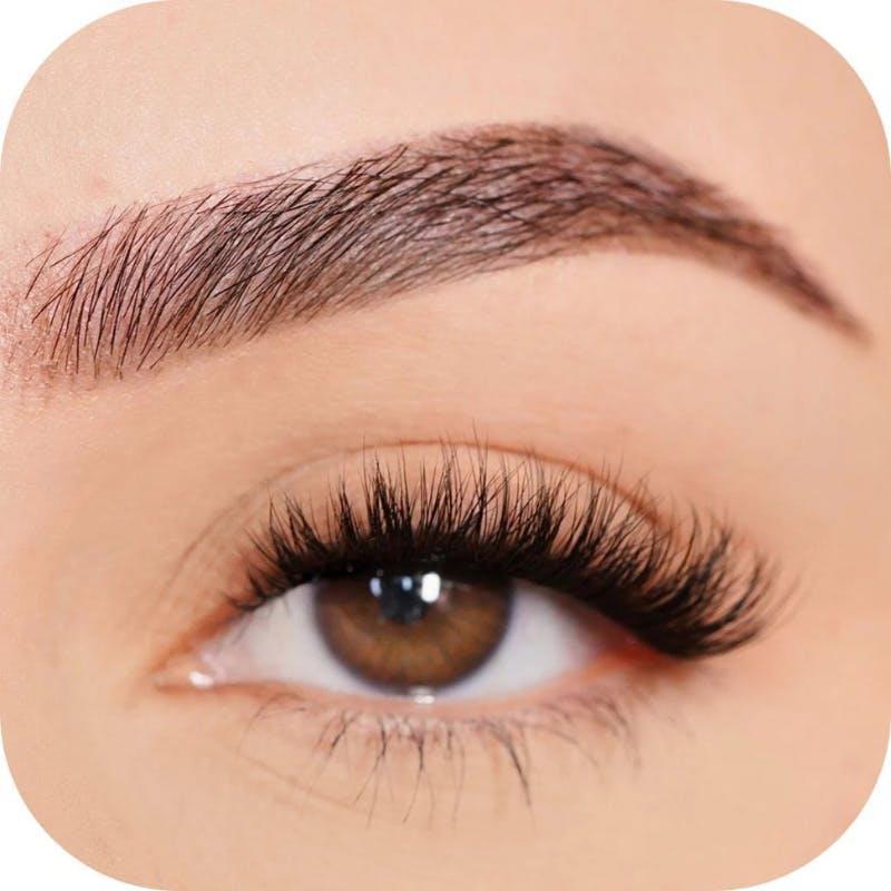 Custom Lashes - Pre mapped lash Passionate