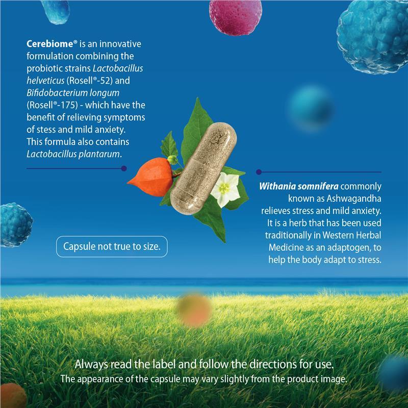 Carusos Probiotic Anxiety EZE 60 Capsules