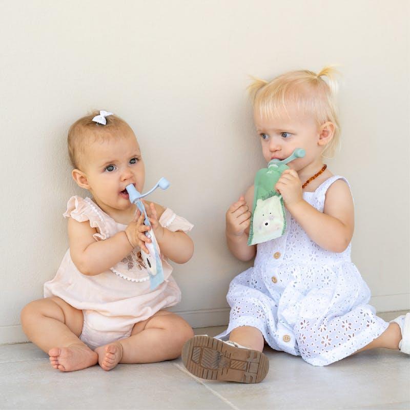 Cherub Baby Reusable Food Pouches 120ml Cerulean & Sage & Pouch Organiser Bundle