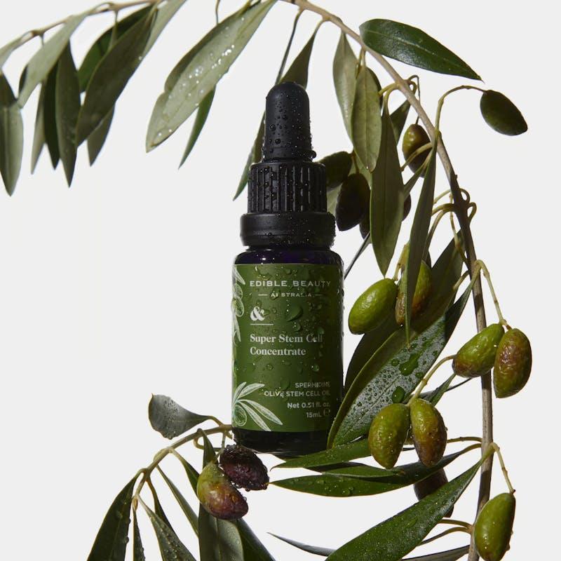 Edible Beauty Australia Super Olive Stem Cell Concentrate 15ml