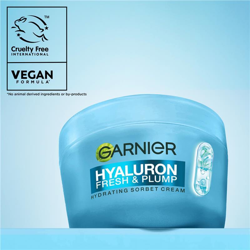 Garnier Hyaluronic Sorbet Cream