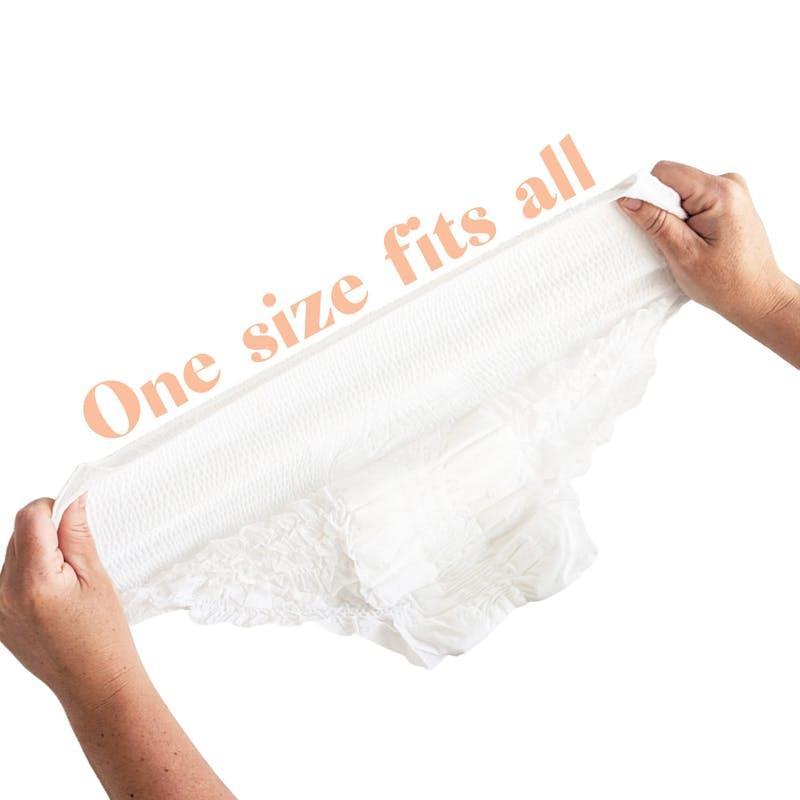 The Midwife Mumma Mother Suckers Disposable Briefs - 5 Pack One Size