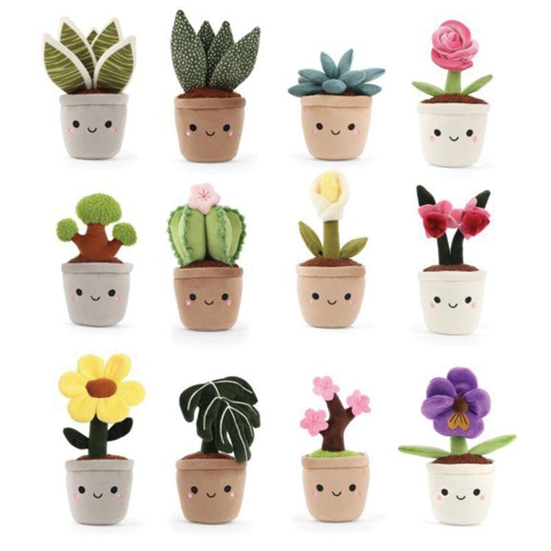 Keeleco Botanical Garden 14cm Assorted